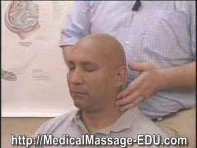 Manchurian Acupressure In Medical Massage