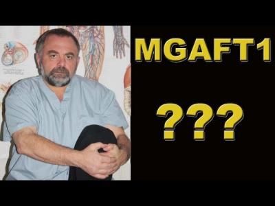 What the site name “mgaft1” has to do with Boris Prilutsky